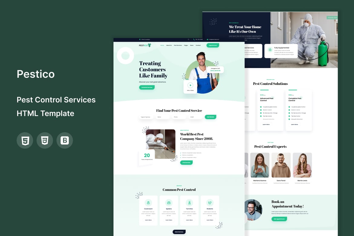 Template Website Pestico - Solusi Terbaik untuk Layanan Pengendalian Hama
