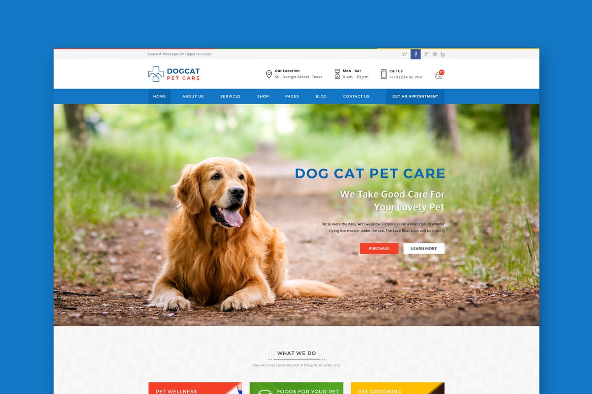Template Website Perawatan Hewan - Solusi Veteriner Modern