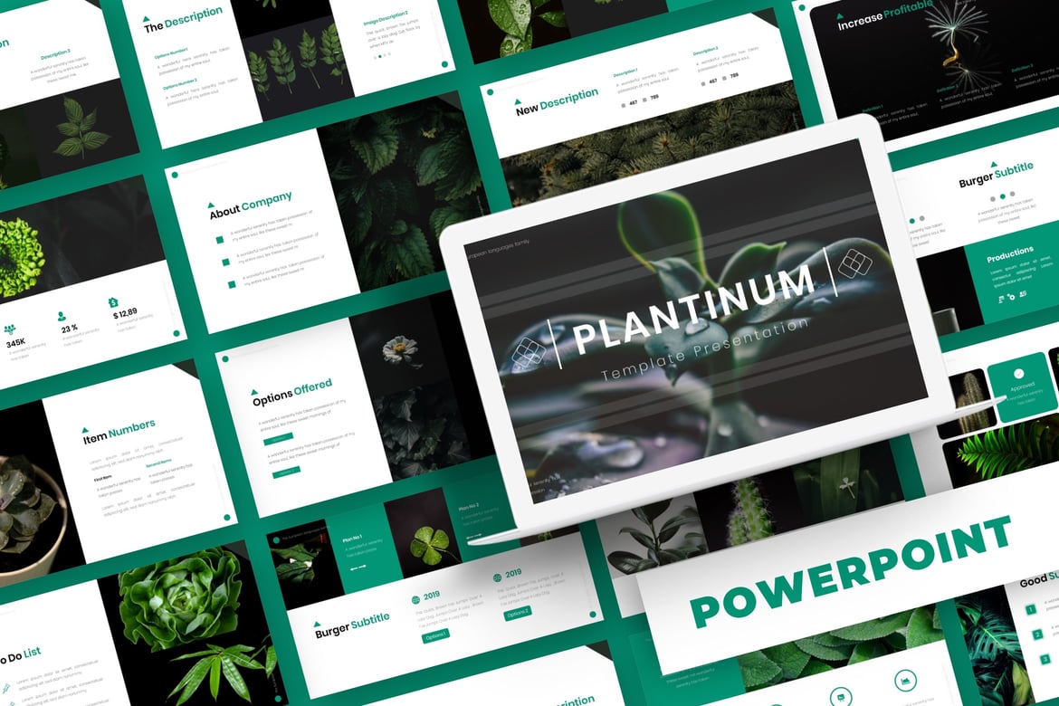 Template Presentasi PowerPoint Plantinum - Solusi Kreatif untuk Kebutuhan Bisnis Anda