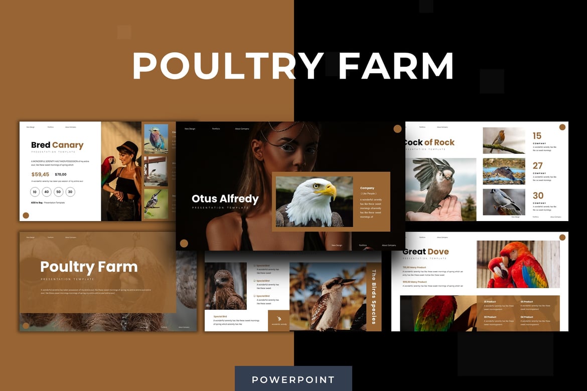 Template Presentasi PowerPoint Peternakan Unggas yang Menarik