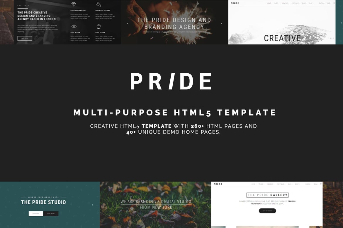 Pride - Template Website Serbaguna HTML5 yang Menarik