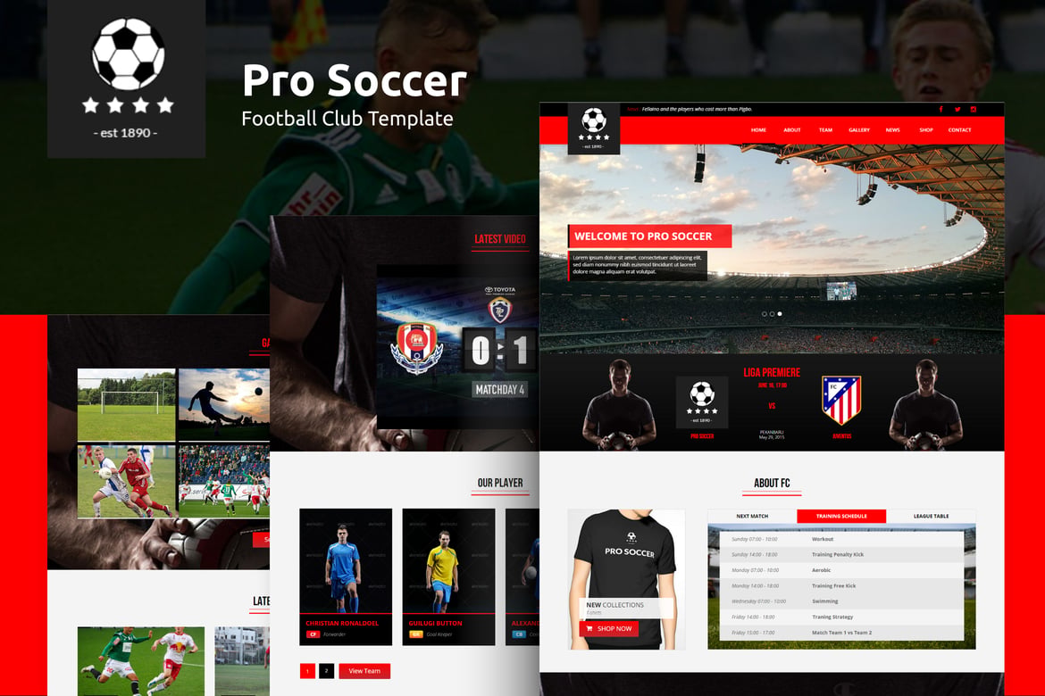 Template Website Sepak Bola - Pro Soccer Club HTML