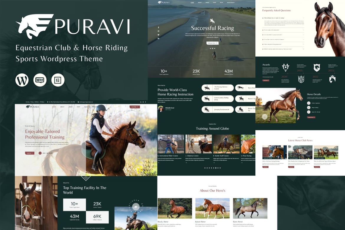Puravi - Tema WordPress untuk Klub Berkuda dan Olahraga Berkuda yang Menarik