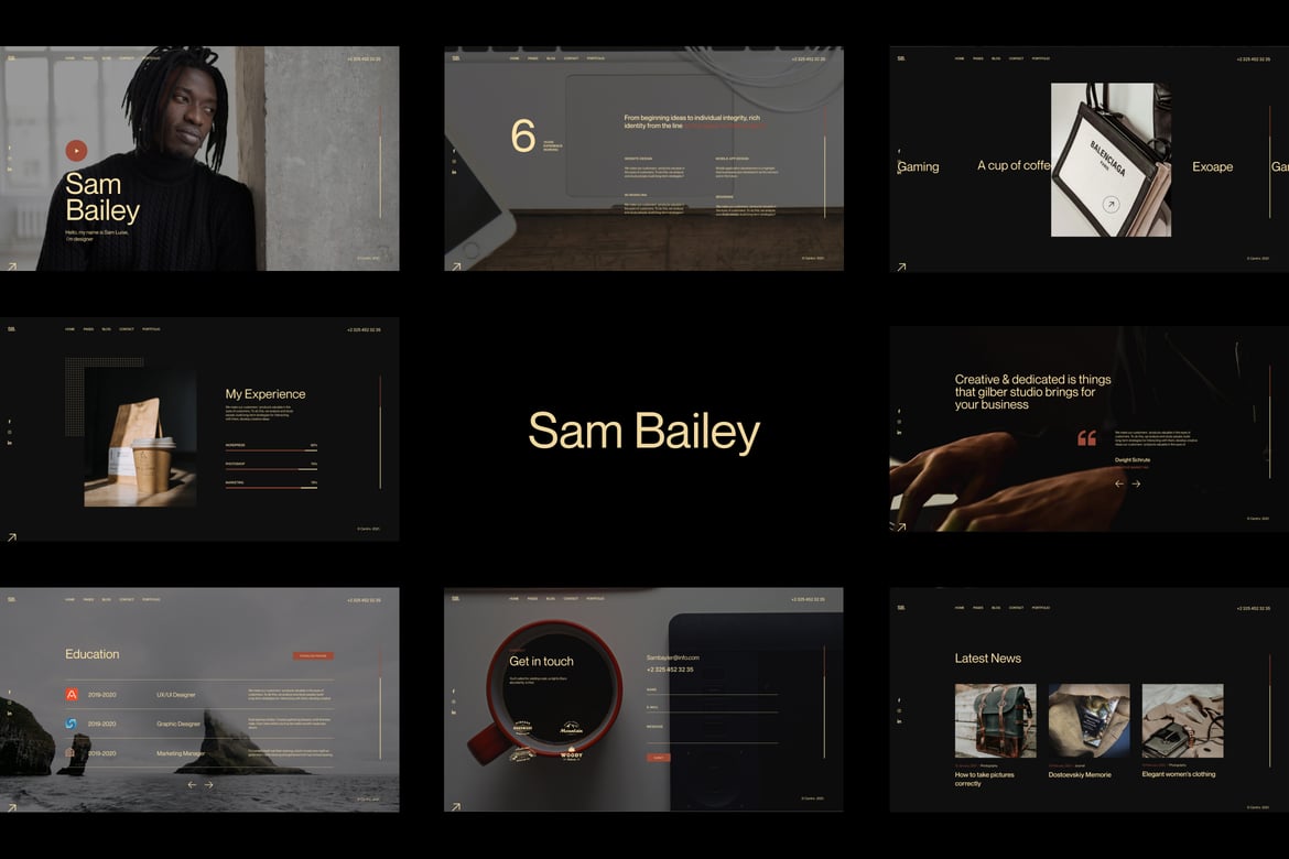 Tema WordPress CV/Resume Sam Bailey yang Fleksibel dan Modern