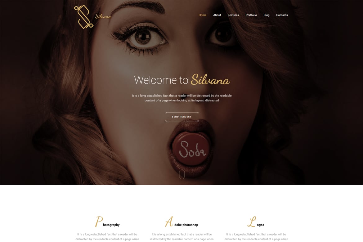 Silvana - Template Website Onepage Kreatif untuk Agensi