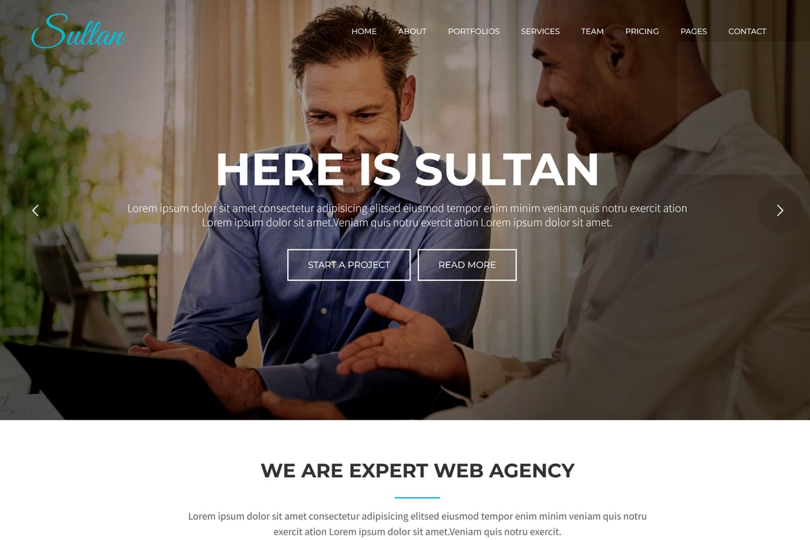 Sultan - Tema WordPress Bisnis Satu Halaman yang Modern
