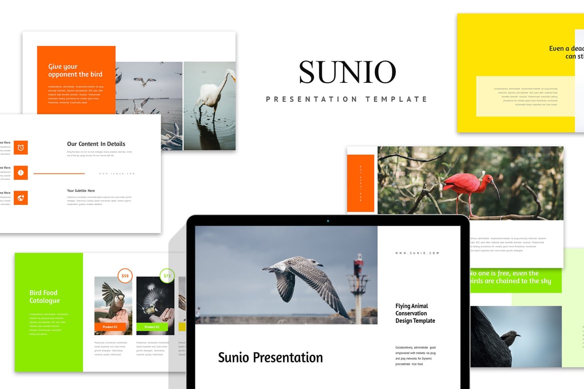 Template Presentasi PowerPoint Sunio: Desain Hewan Terbang yang Menarik