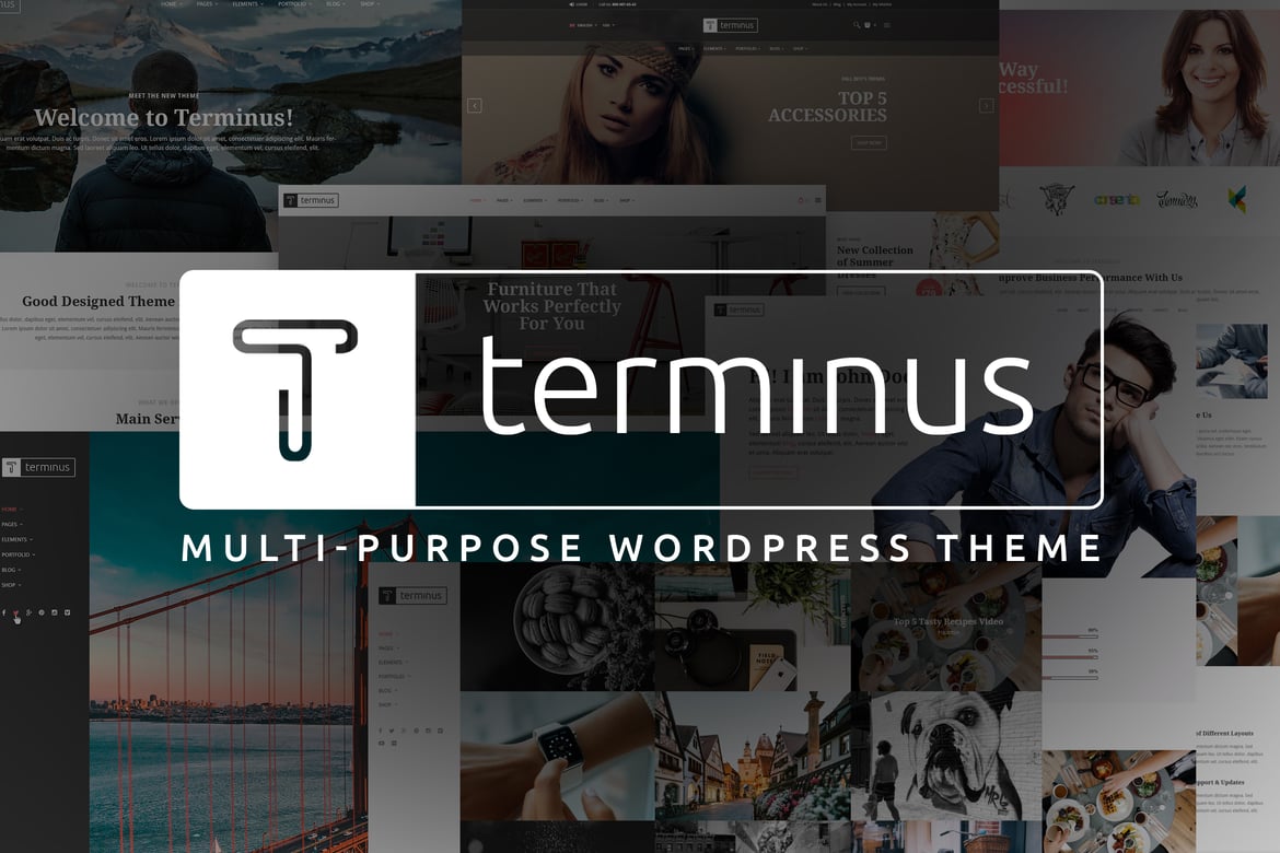 Terminus - Tema WordPress Multi-Fungsi yang Elegan dan Modern
