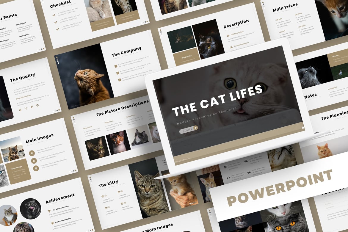 Template Powerpoint Cat Lifes - Solusi Presentasi Kreatif Anda