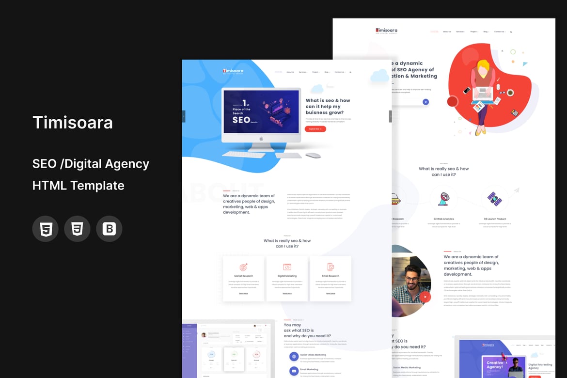 Template Website Timisoara - Solusi Digital untuk Agensi SEO dan Lainnya