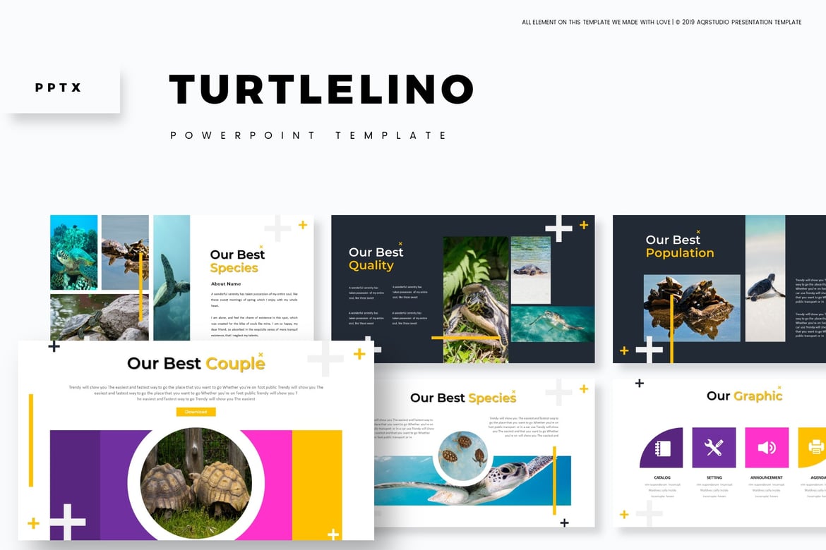 Turtlelino - Template Powerpoint Serbaguna yang Menarik