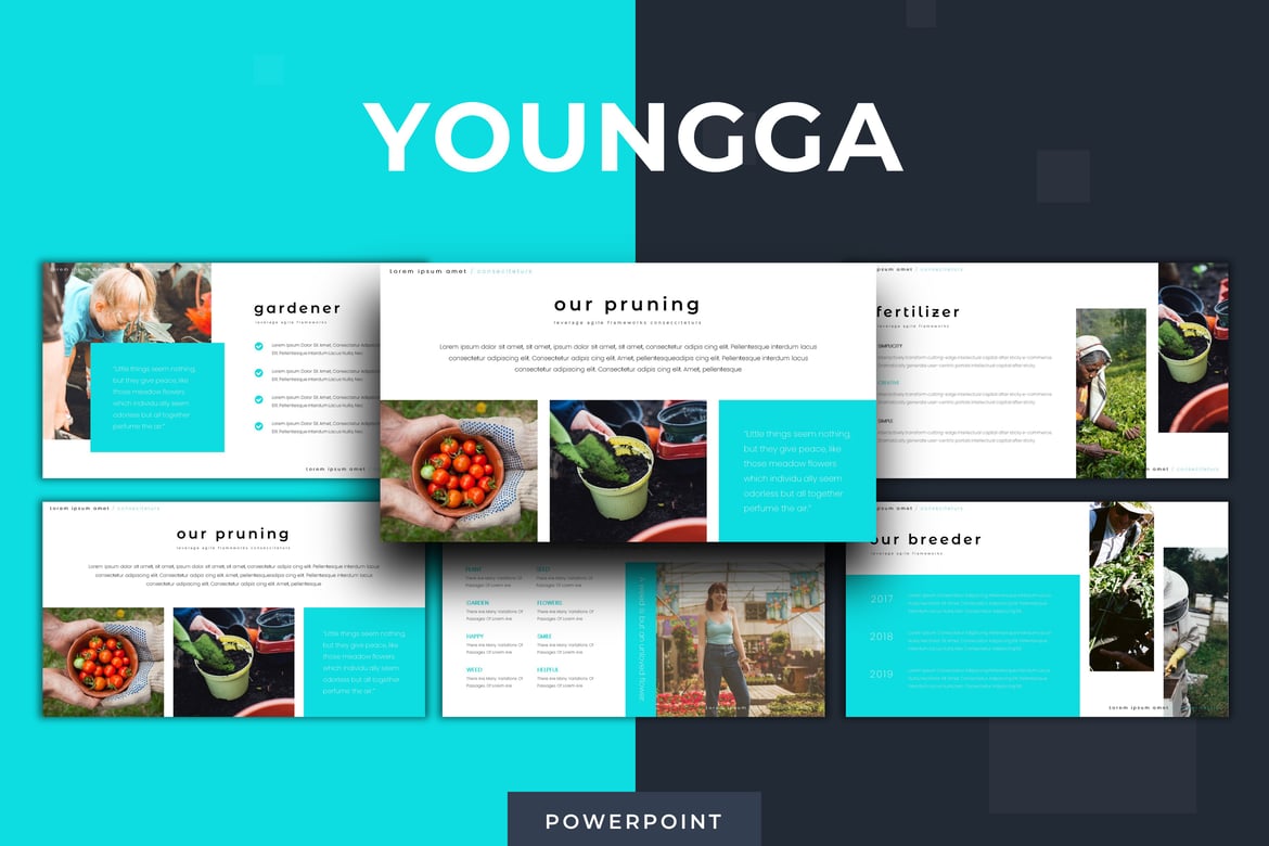 Youngga - Template PowerPoint Profesional dan Serbaguna