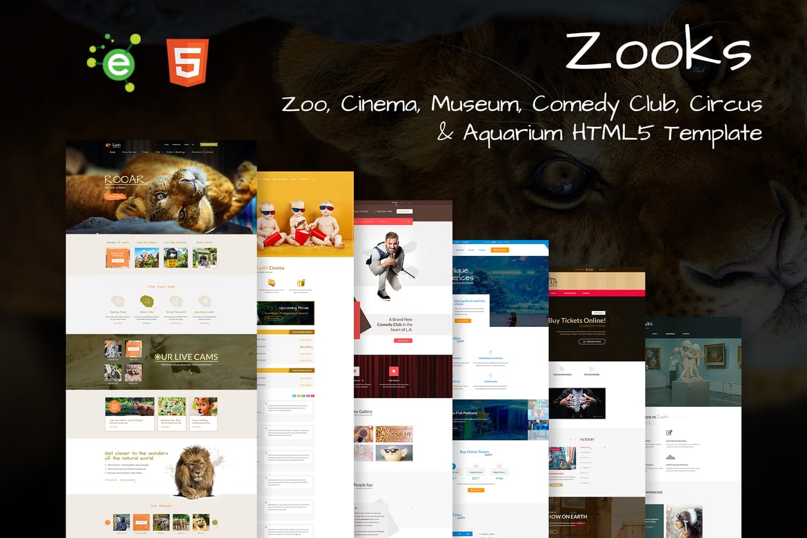 Zooks - Template Website HTML5 Serbaguna 6 Dalam 1